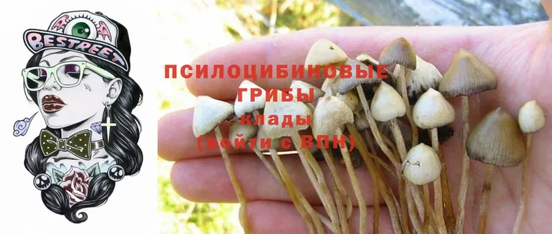 Галлюциногенные грибы Magic Shrooms  мега ссылки  Карабаново 